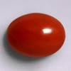 Red Coral (Moonga) 3